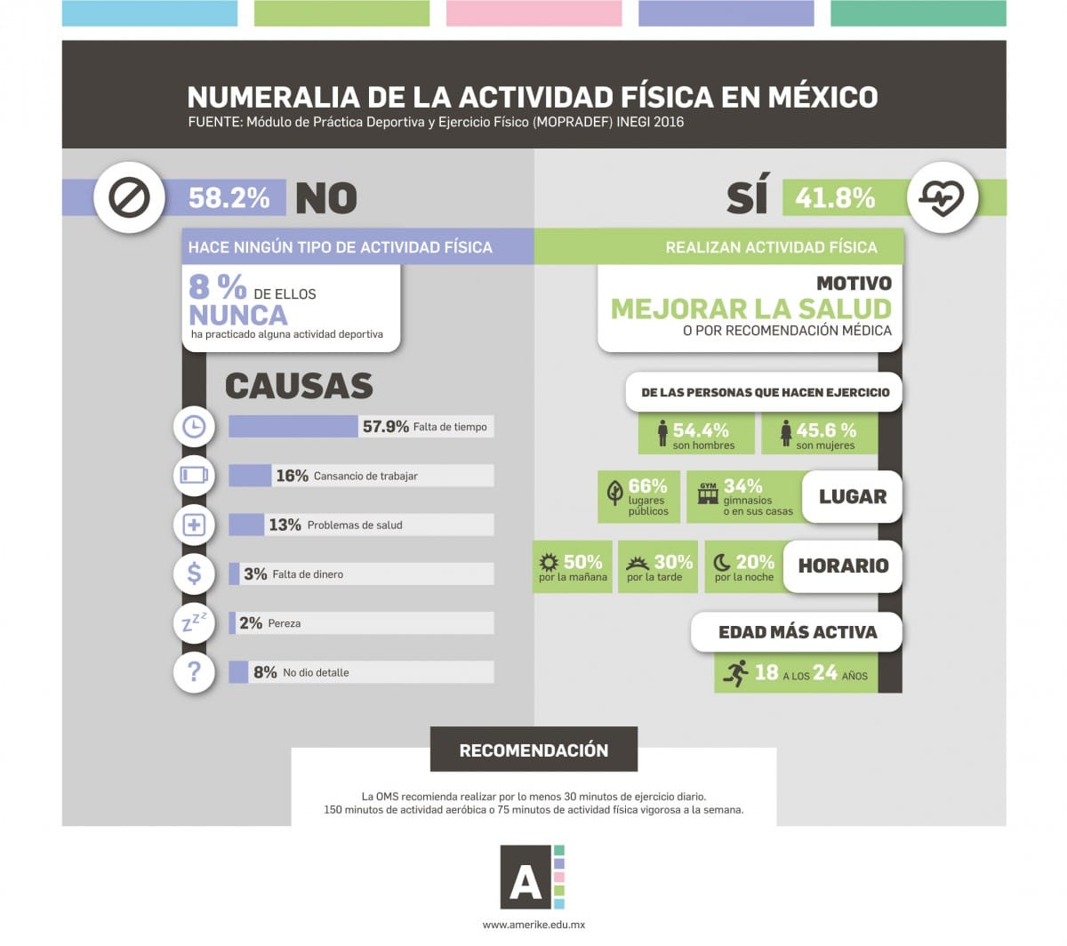 Amerike oferta la Licenciatura en Ciencias del Deporte y de la Actividad Física
