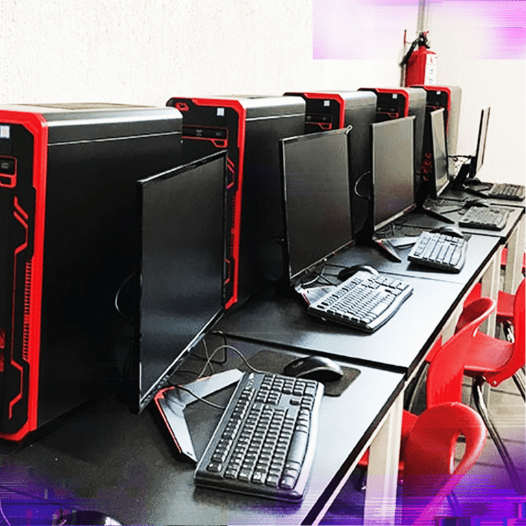 Desarrollo de software interactivo - Amerike